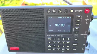 Choyong LC90 definitely has a great FM receiver all that is missing is RDS in the display