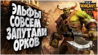 ЭЛЬФ ЗАПУТАЛ ОРКА: Lyn (Orc) vs Colorful (Ne) Warcraft 3 Reforged