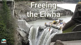 Nature's Return: The Elwha Dam Removal