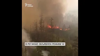 ПУТИНУ ТУШИТЬ ПОЖАРЫ В ЯКУТИИ "ЭКОНОМИЧЕСКИ НЕВЫГОДНО!?"