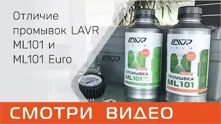 Чем отличаются ML101 и ML101euro