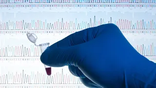 What is meant by DNA sequencing?