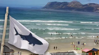 Shark alarm goes off at Muizenberg beach South Africa. Shark spotters watching over the surfers