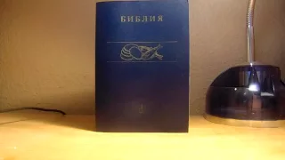 Бороду не всем возможно носить ввиду професии?