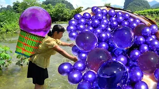 🔥 Giant mutated purple clam, super large purple night pearl