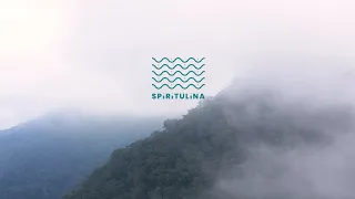 SPIRITULINA - Spirulina producer in Colombia