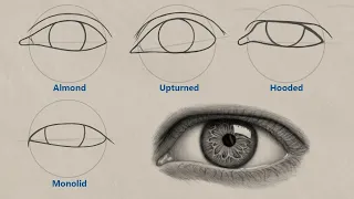 How to Draw Different Eye Shapes | UNIQUE