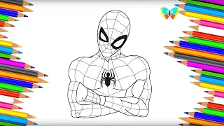 Как нарисовать ЧЕЛОВЕКА ПАУКА из мультика Spider Man | Рисуем и Учим Цвета | Coloring Kids