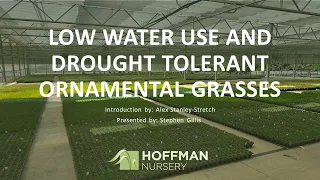 Low Water Use and Drought Tolerant Grasses & Sedges