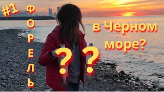 Охота на КРУПНУЮ форель в Черном море | Дельфины под ногами, ставрида на спиннинг в Грузии