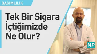 Tek Bir Sigara İçtiğimizde Ne Olur?