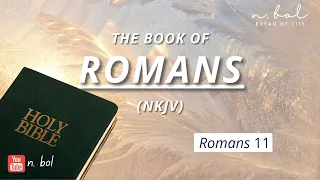 Romans 11 - NKJV Audio Bible with Text (BREAD OF LIFE)