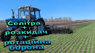 Підживлення озимої пшениці аміачною селітрою