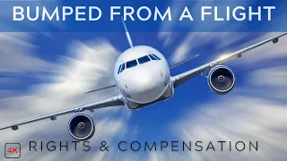 BUMPED or REMOVED FROM A FLIGHT | Your Rights and Compensation