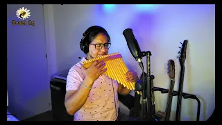 CONCIERTO DE ARANJUEZ ADAGIO - Joaquin Rodrigo - cover panflute by Ernst Cq