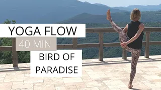 40 Min Yoga Flow | Bird of Paradise Flow | Kraft, Balance & Flexibilität