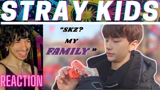 STRAY KIDS being a family for 18 minutes | REACTION