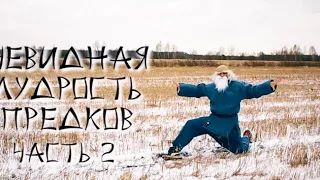 ЯросLife: Очевидная Мудрость Предков (Часть 2)