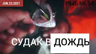 ОН ЖРЁТ ПРИМАНКИ ЦЕЛИКОМ! ЛОВЛЯ СУДАКА В ДОЖДЬ! РЫБАЛКА  с ночёвкой РЫБАЛКА 2021.