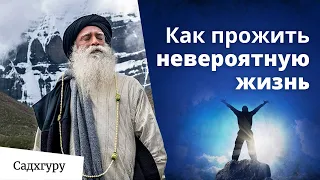 Почему Садхгуру не берет выходных?