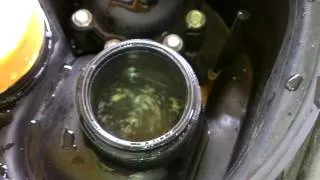 Oil in coolant