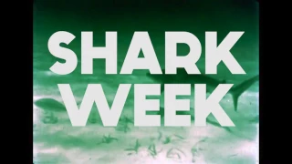 WSBF Shark Week 2017 Teaser