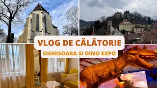 Vlog de călătorie // Sighișoara, Platou Breite (stejarii seculari) // DINO EXPO // Noutățile mele🤗