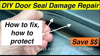 BMW I3 Door Seal Weatherstrip Repair