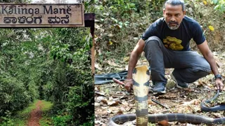 Kalinga Mane Agumbe |King Cobra Research Centre |#ಕಾಳಿಂಗಮನೆ