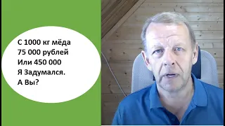 Какая доходность от продажи 1000 кг мёда с бизнес пасеки оптом и в розницу. Сдать мёд или продать?