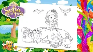 Coloring Sofia the First  with friends Clover, Mia, Robin, Whatnaught | Coloring pages  |