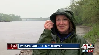 Kansas Riverkeeper finds strange things lurking in the water