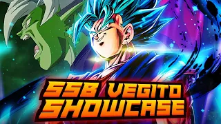 THE PUR FUSION WARRIORS NEEDED! PUR SSB VEGITO IS AN AMAZING ADDITION TO THE TEAM! | DB Legends PvP