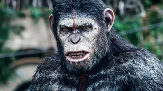 Dawn of the Planet of the Apes - All Clips From The Movie (2014)