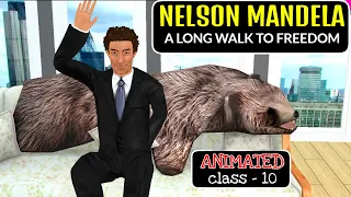 Nelson Mandela Long Walk To Freedom Class 10 | Animation In Hindi | Class 10 English Chapter 2