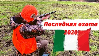 Последняя охота  в этом году/загонная охота на кабана/Beretta 20 калибр/патрон Sauvestre gros gibier