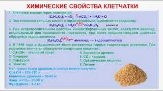 № 149. Органическая химия. Тема 21. Углеводы. Часть 23. Химические свойства клетчатки