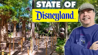 Crowd shortage is getting confusing | State of Disneyland Report 2024-05-01