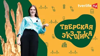 ТВЕРСКАЯ ЭКЗОТИКА: Старицкие пещеры