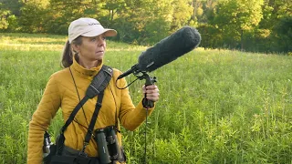 Microphones for Recording Bird Sounds