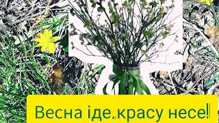 Моя парфумерна весна 2024. 🏵🌷🌼