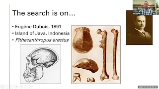 Homo erectus: International Man of Mystery