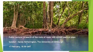 Public Lecture: In search of the roots of roots - 400 million years of plant root evolution