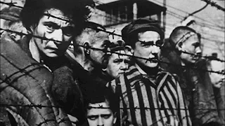 Ад рукотворный. Что увидели красноармейцы, освободив лагерь Освенцим