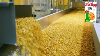 How CORN FLAKES are made 🥣 | How breakfast cereals are made
