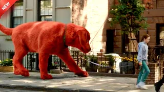 A Girl Tries to Adopt a Giant Red Dog. Explain In Hindi