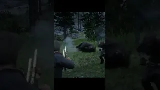 Saving A Bear Hunter From His Own Stupidity