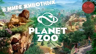 Planet Zoo - ПЕРВЫЙ ЗООПАРК #1