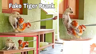 Fake Tiger Prank Dog So Funny | Dog Pranks | Try To Stop Laughing | Part 6