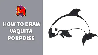 How to Draw Vaquita Porpoise Easy